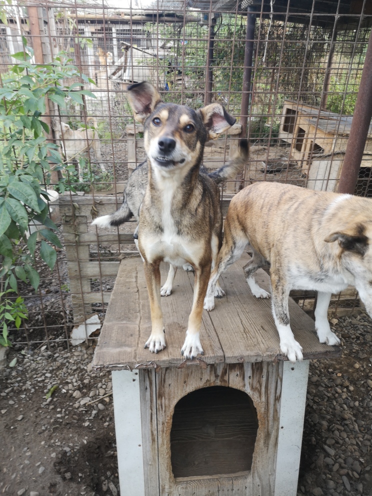 cor2.jpg