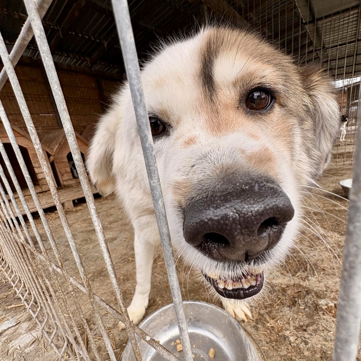 IMG_8253.jpg
