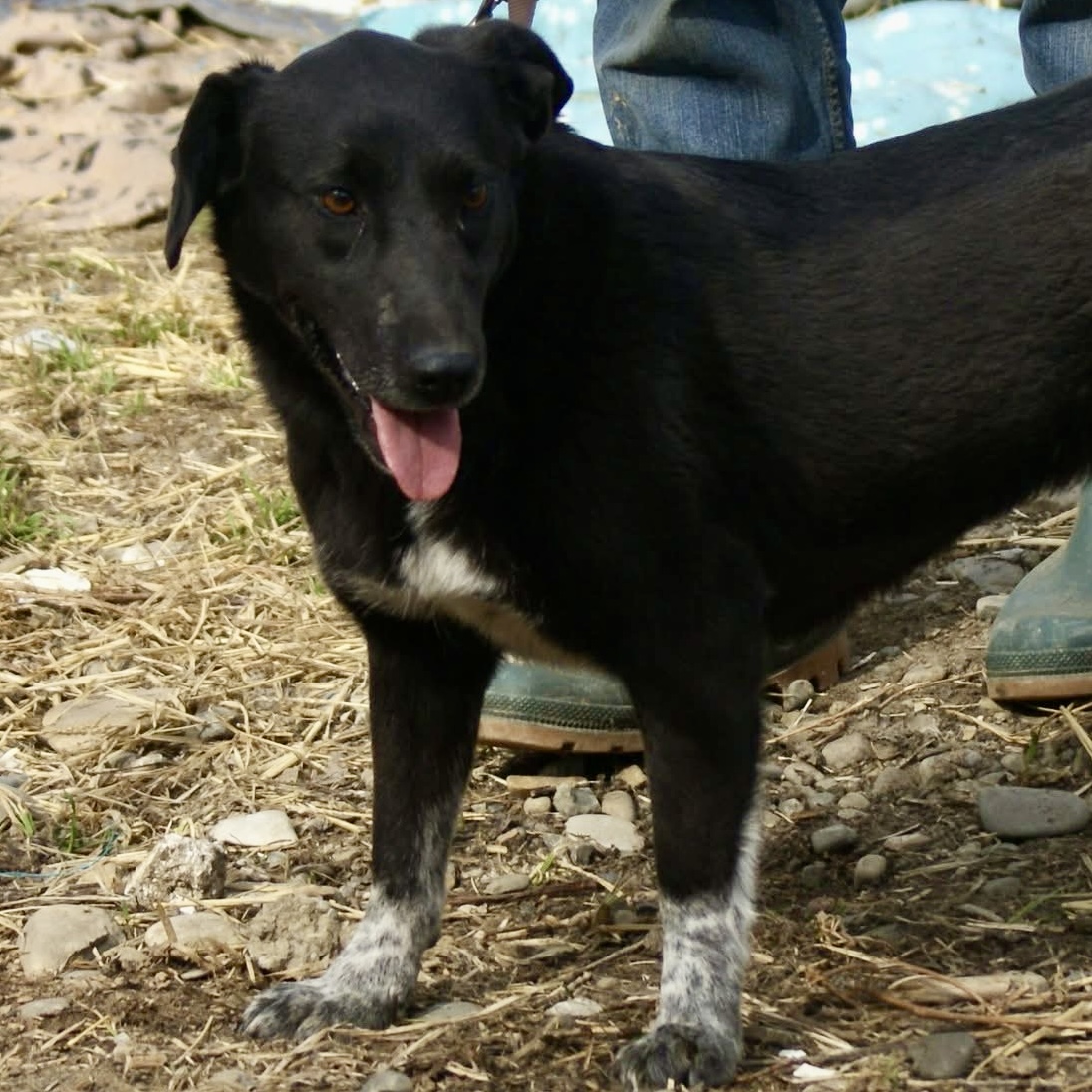 IMG_8267.jpg