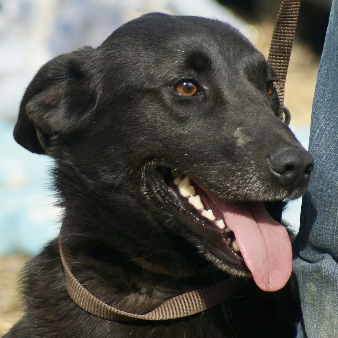 IMG_8272.jpg